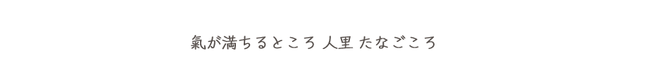 たなごころVillage