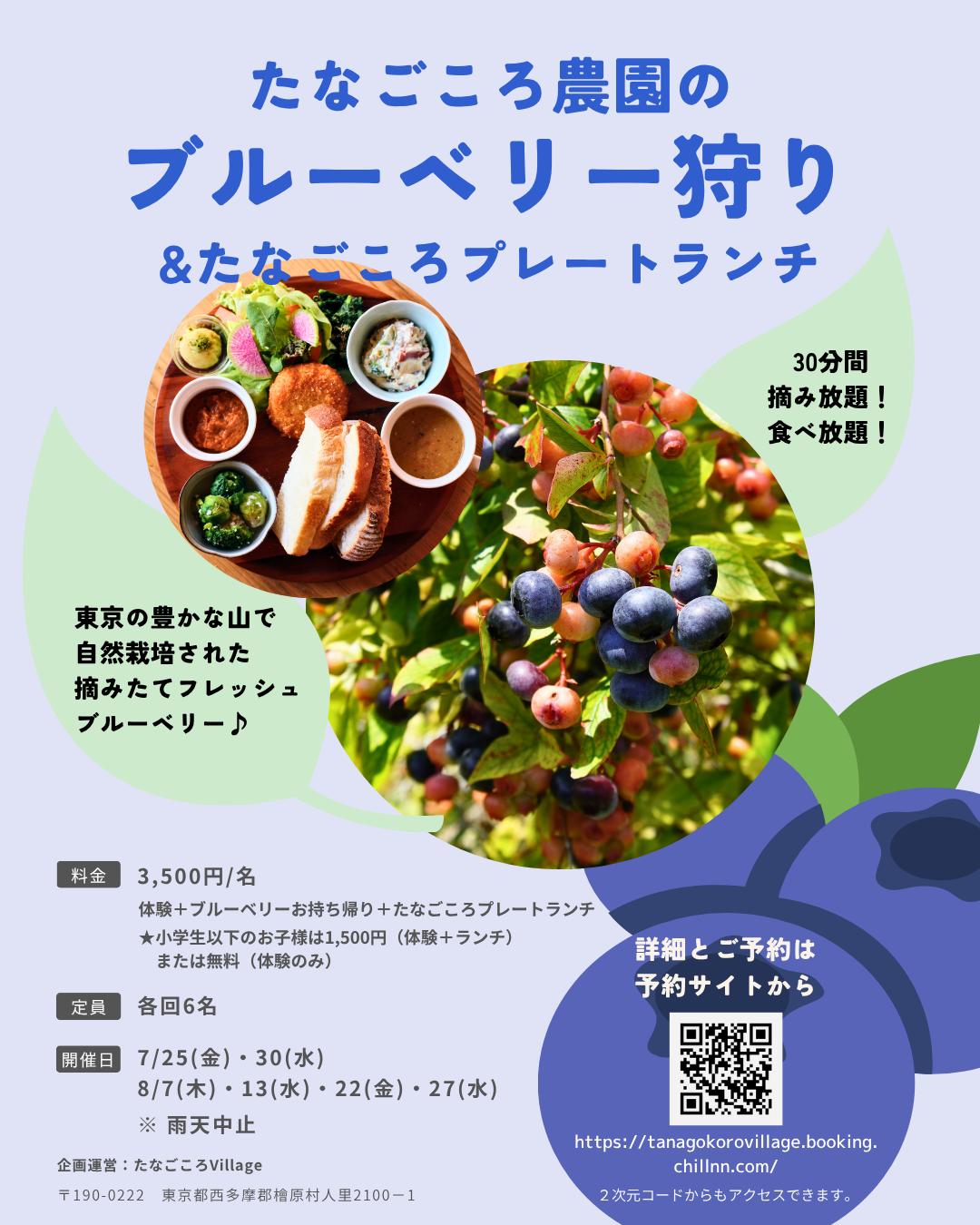 2025夏_ブルーベリー狩り (Instagramの投稿(45))